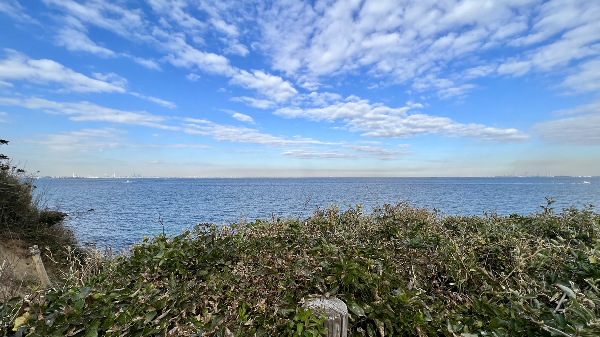 オーシャンビュー