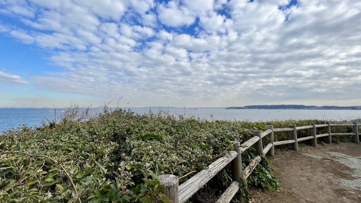 オーシャンビュー