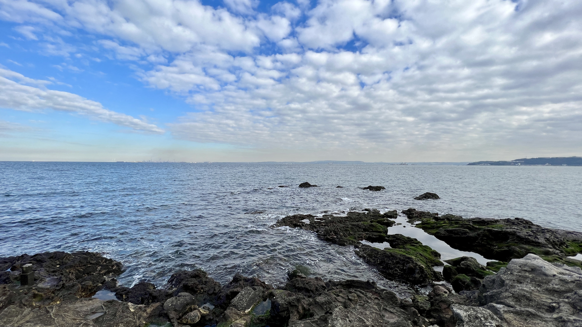 海岸からの眺望