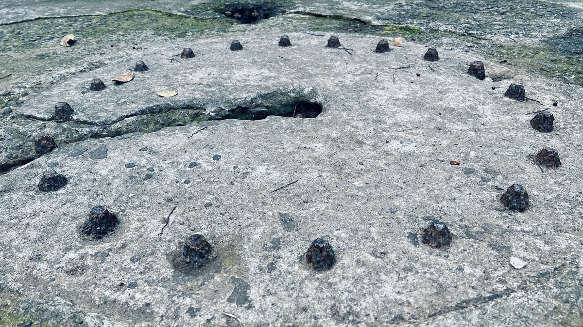 砲台を固定する中央のボルト