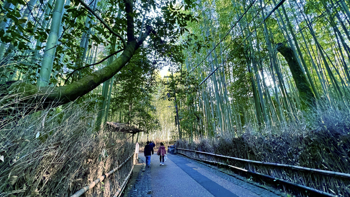 竹林の小径