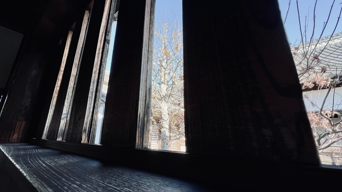 木製の窓から覗く木々