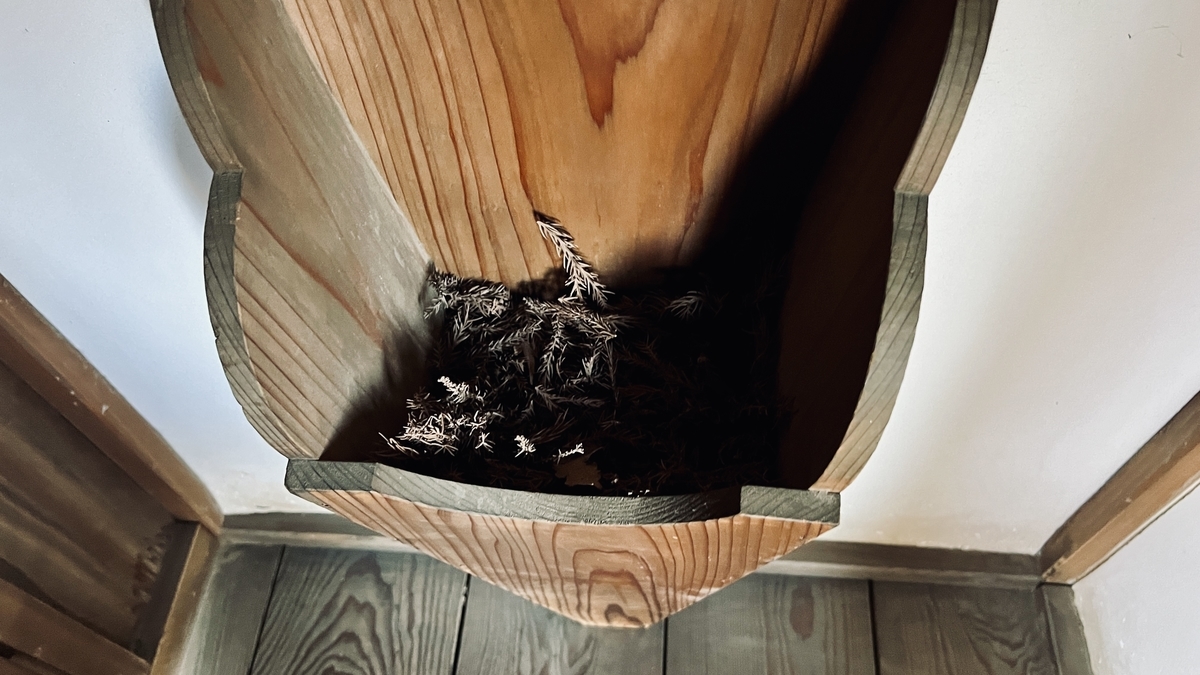 消臭のための杉の葉