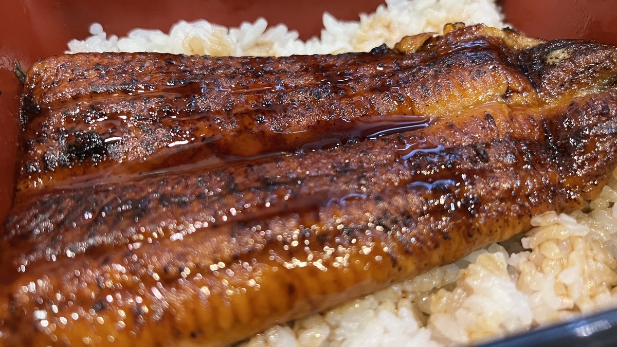 タレの照りが美しい、ふっくら焼き上げたうなぎのアップ