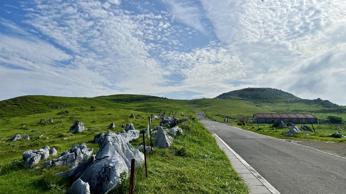 石灰岩と草原が広がる四国カルストの道路沿いの風景