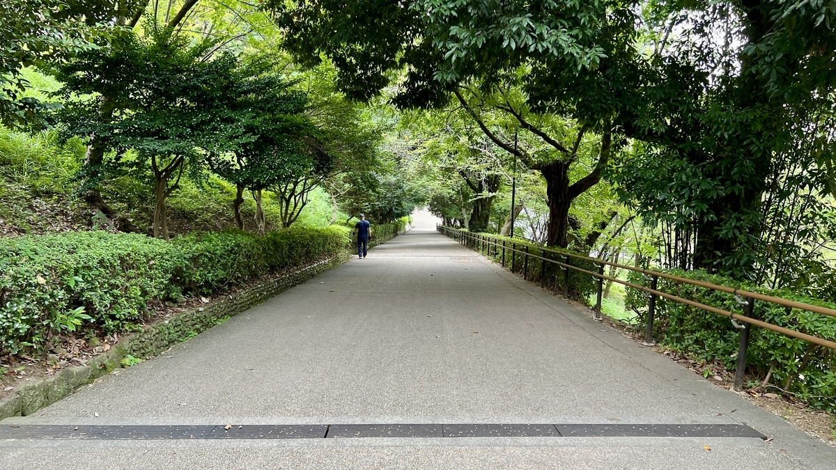 見返り坂中腹から見下ろした風景。急傾斜の石畳の道が続く