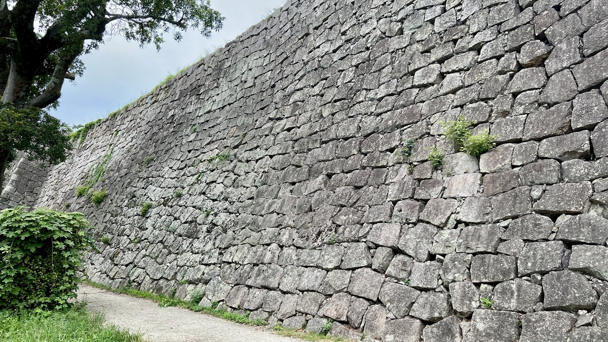 自然の緑と石垣が調和する風景。手前から緩やかに続く曲線の石垣