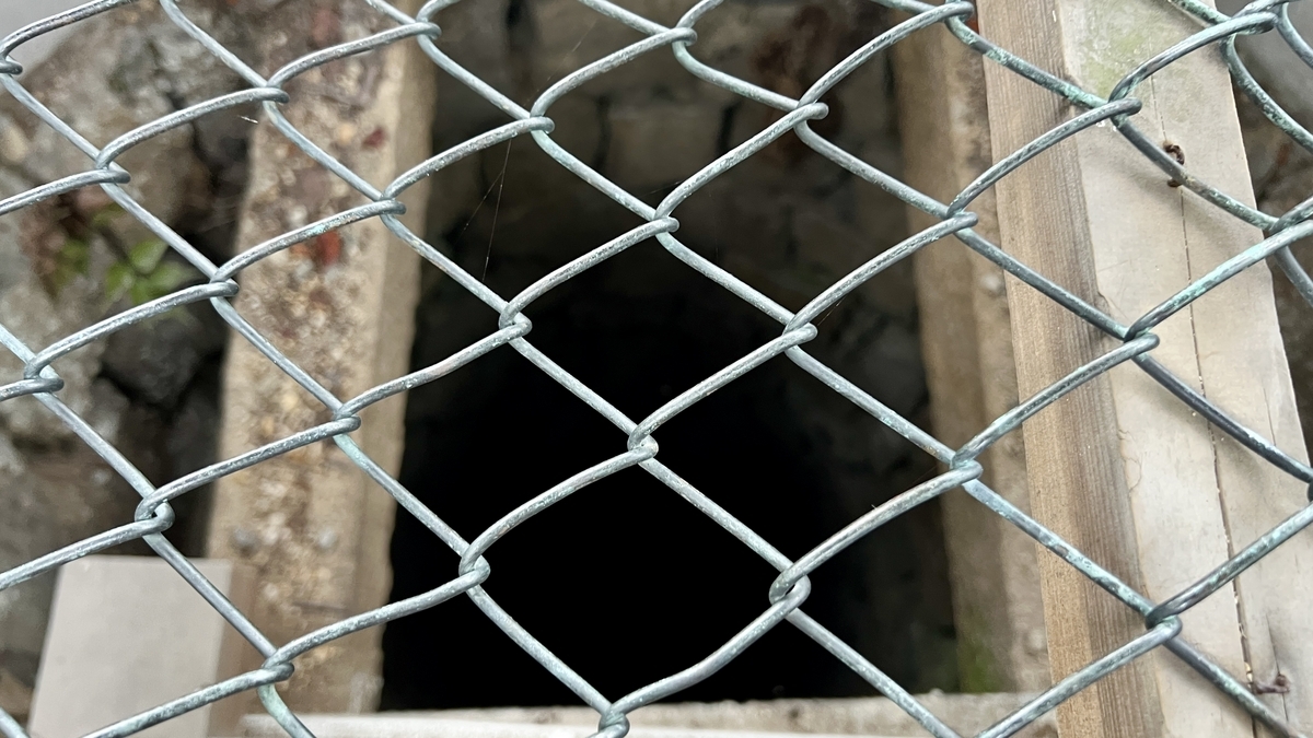 井戸内部を覗いた様子。金網越しに深い井戸の暗がりが見える