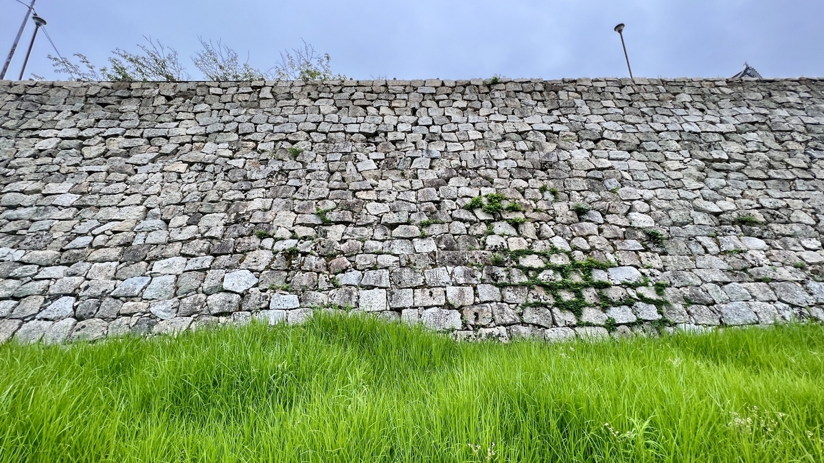 草地の向こうにそびえる石垣の全景。高さと長さが伝わる迫力のある視点