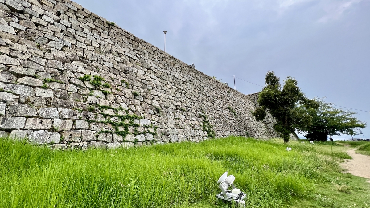なだらかな草地と対比する石垣の直線的なライン。空に映える白石の壁面