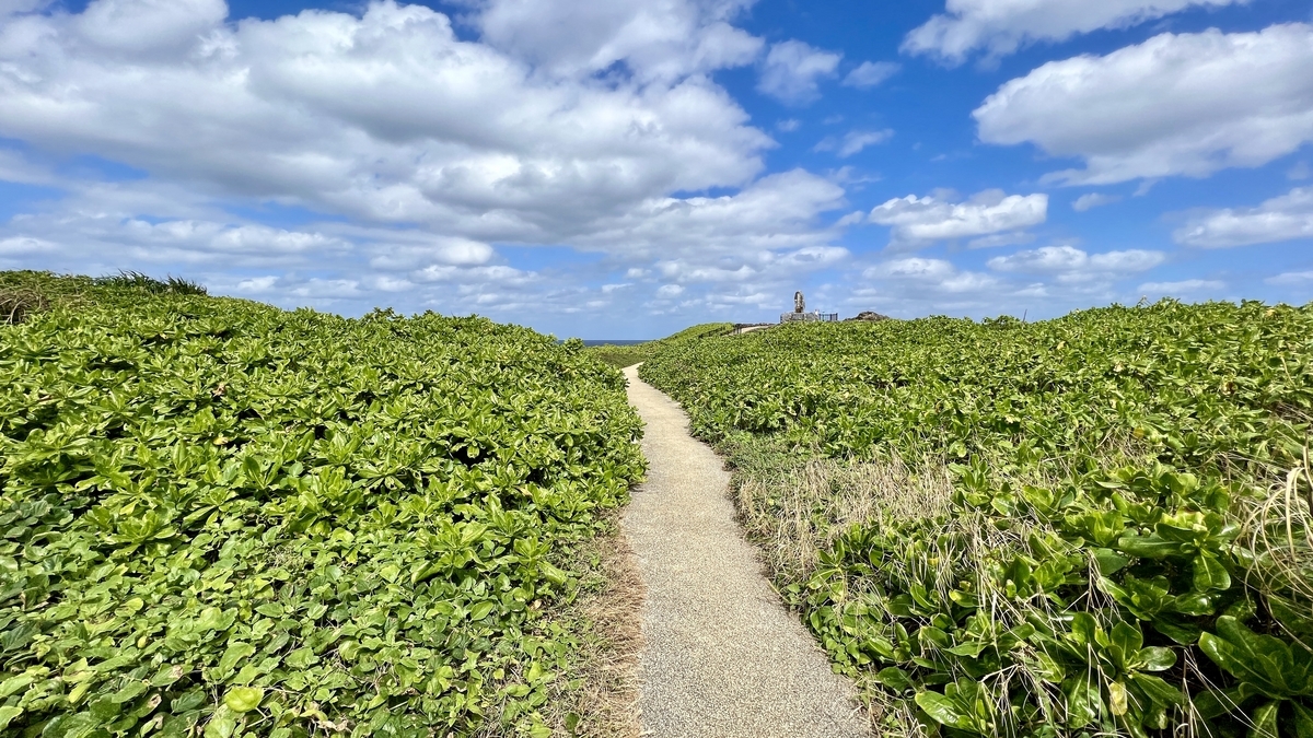 青空と緑に囲まれた辺戸岬の遊歩道の小道