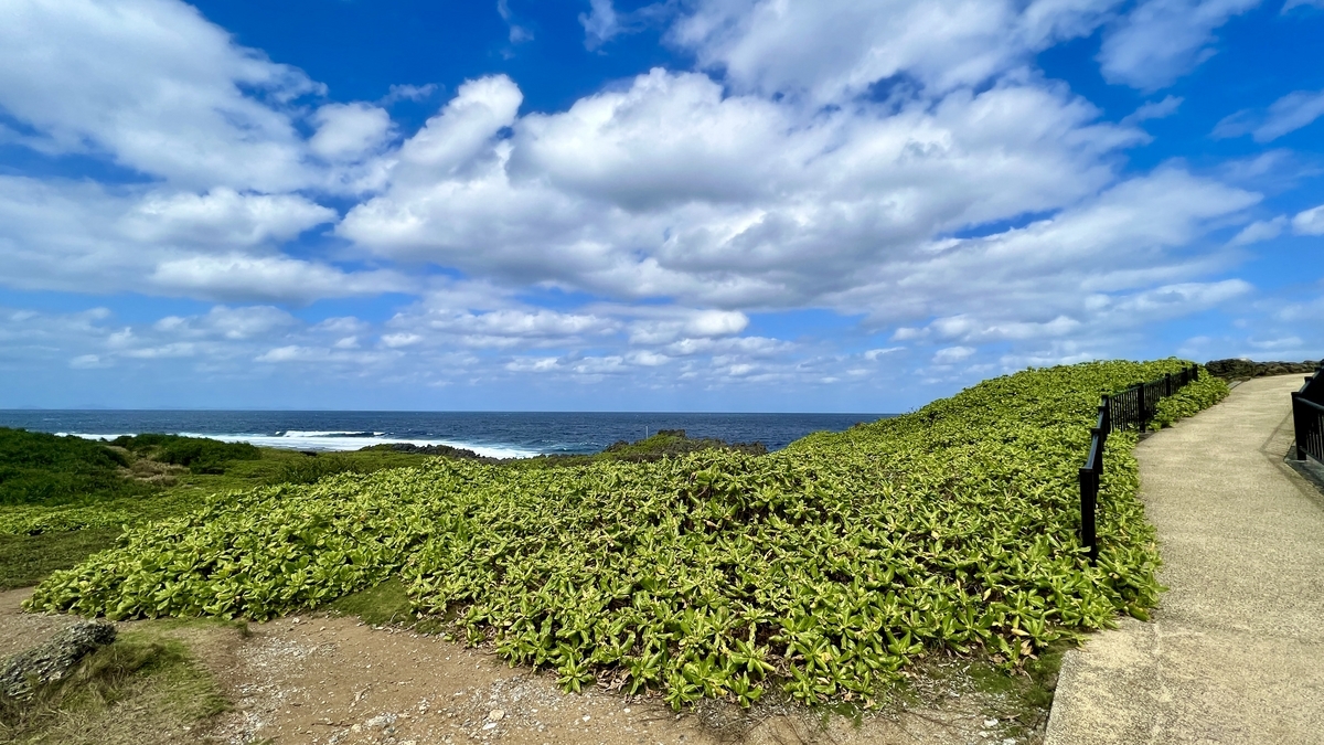 草木に囲まれた辺戸岬の整備された遊歩道