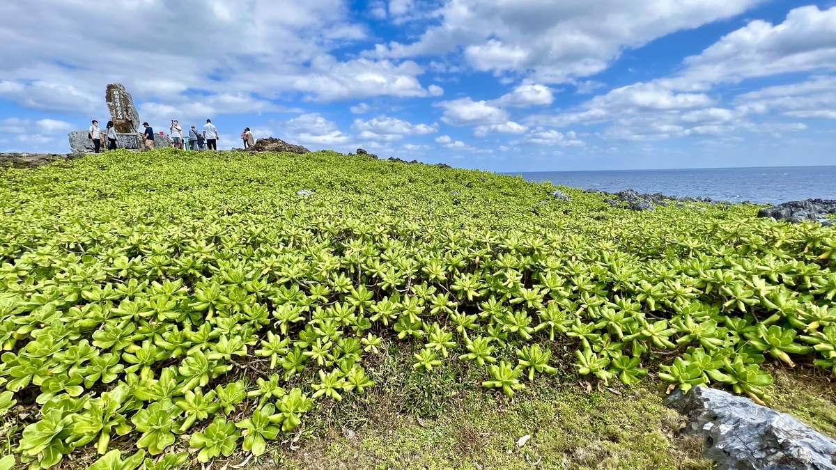 緑の草原越しに海と空を望む辺戸岬の遊歩道風景