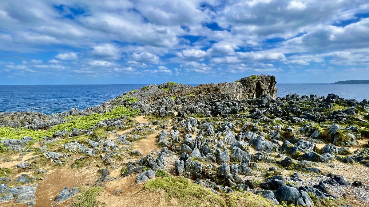 ごつごつした岩と海を背景に広がる辺戸岬のカルスト風景