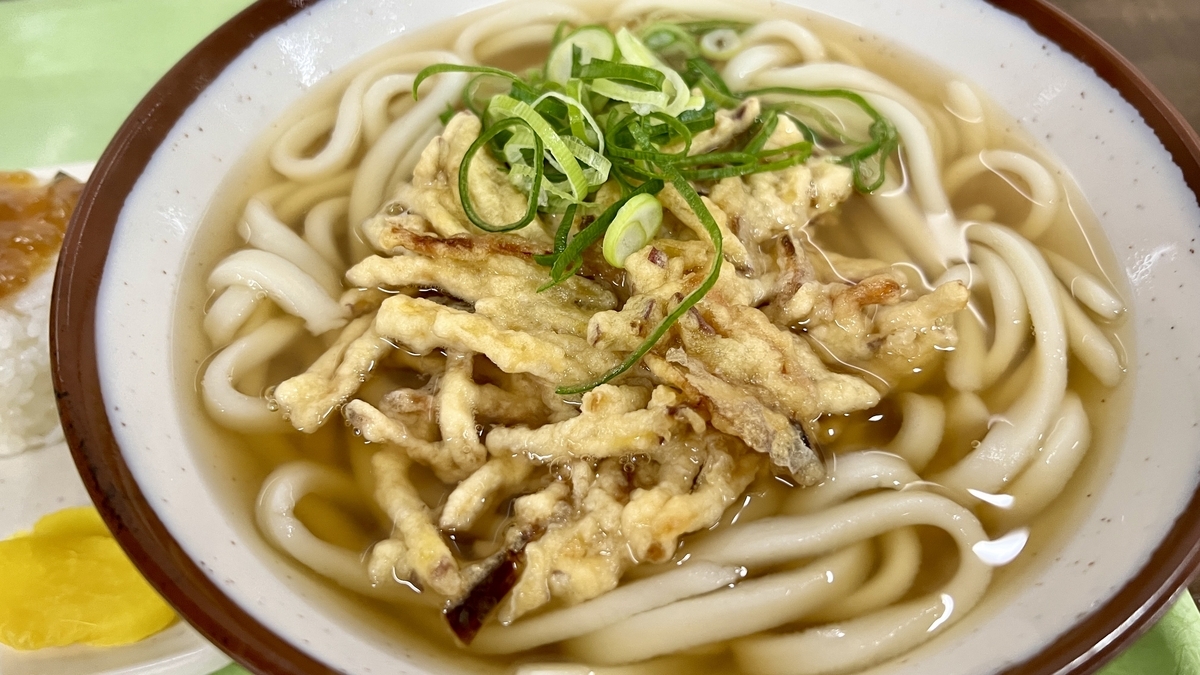 三角茶屋豊吉うどんのごぼううどん温かいだしにごぼうのかき揚げが浮かぶ一杯