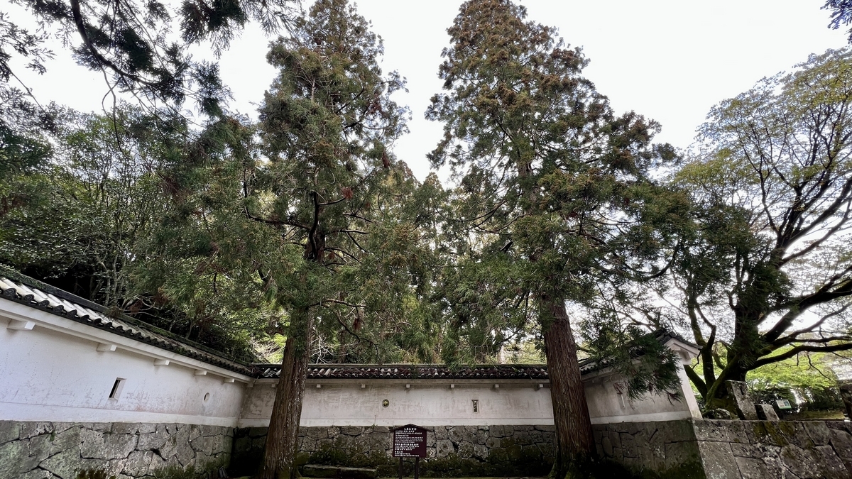 四本の飫肥杉が立つしあわせ杉の場所と白壁の周囲の風景