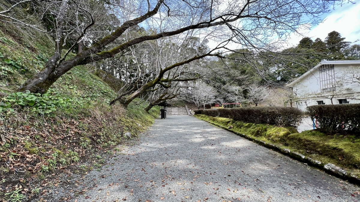 旧本丸跡へ向かう石垣と白壁沿いの道と木々の風景