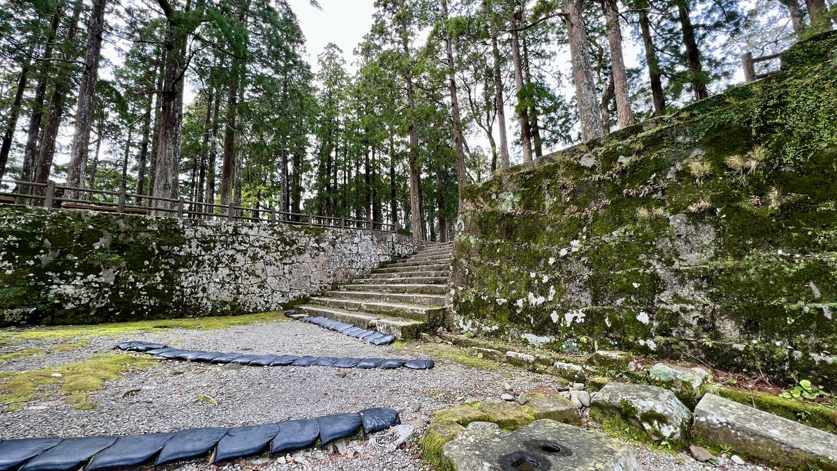 杉林と苔の石垣に囲まれた石段の美しい景観