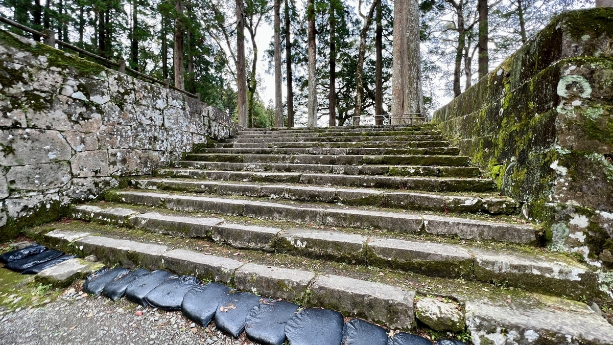 杉林の中を上へ伸びる石段と石垣の景色