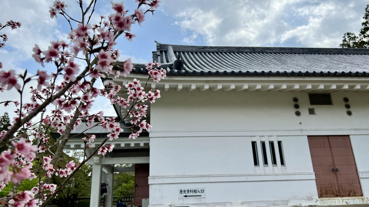 桜越しに望む飫肥城の白壁と瓦屋根の風景