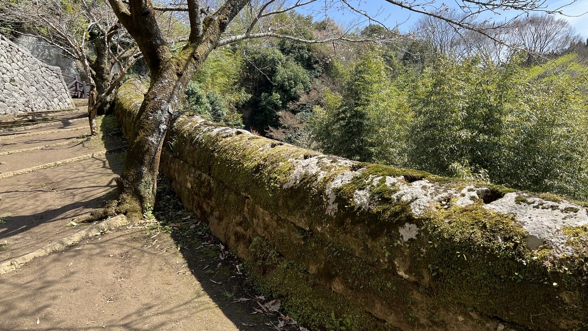 苔に覆われた石垣と木陰の遊歩道