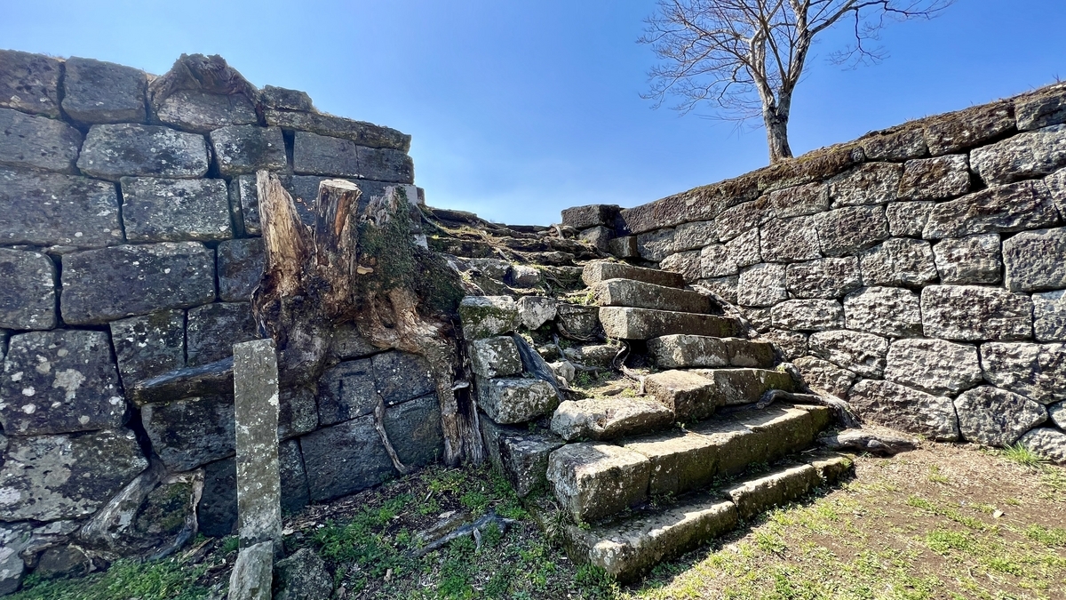 鐘櫓跡の石段と石垣に残る切り株