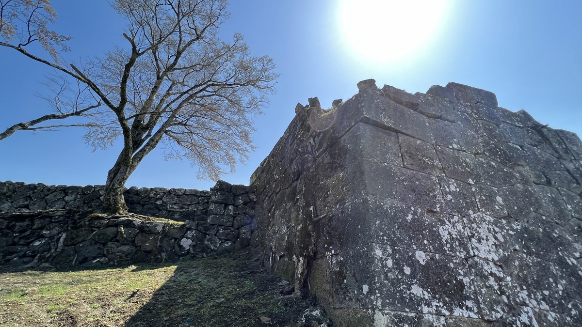 太鼓櫓跡の石垣と青空に伸びる木