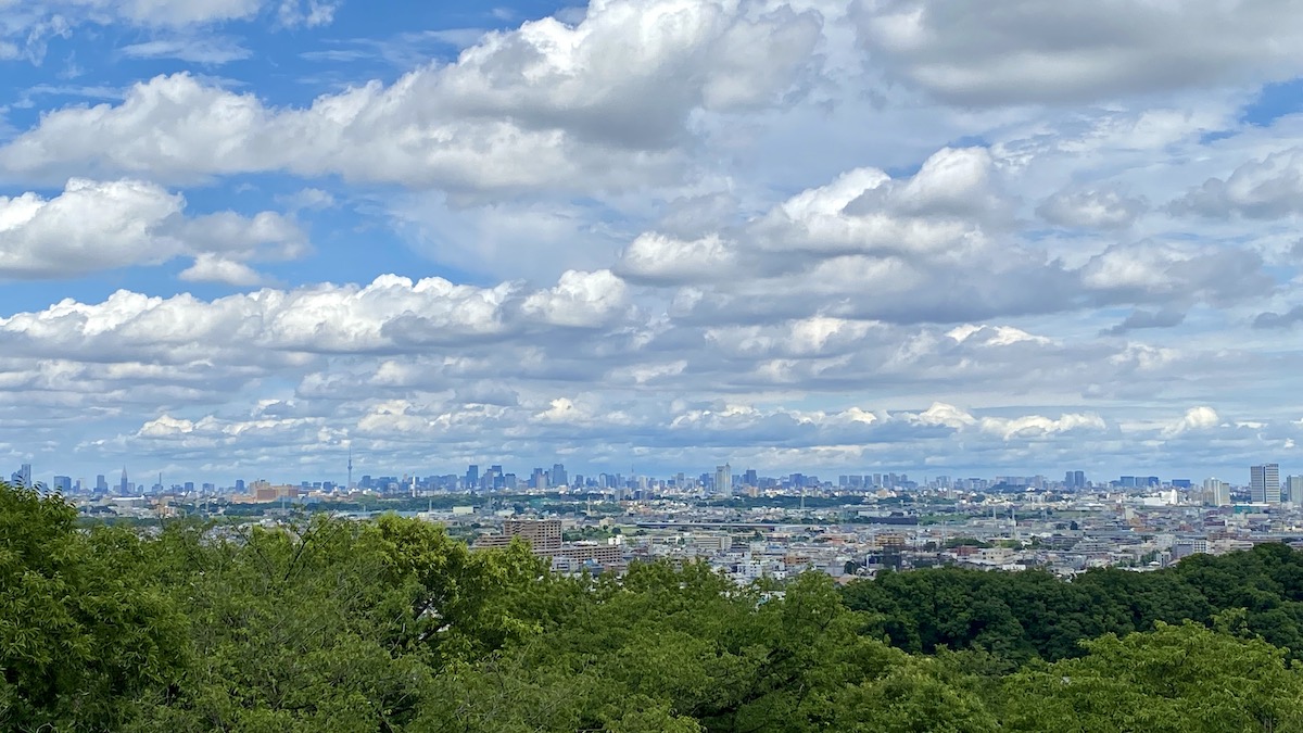 展望台からの眺め