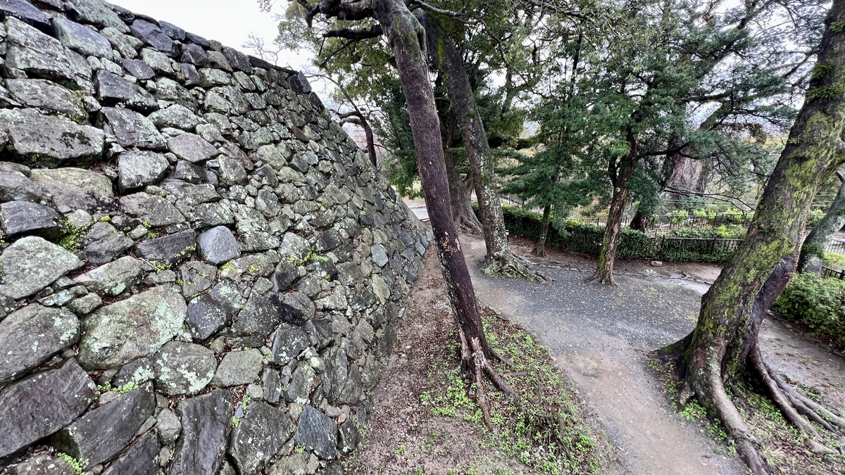 展望デッキからの眺め
