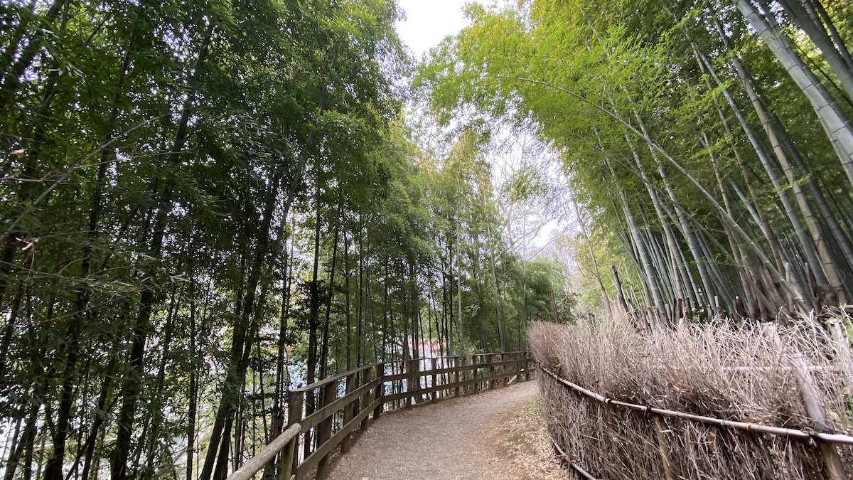 多摩自然遊歩道