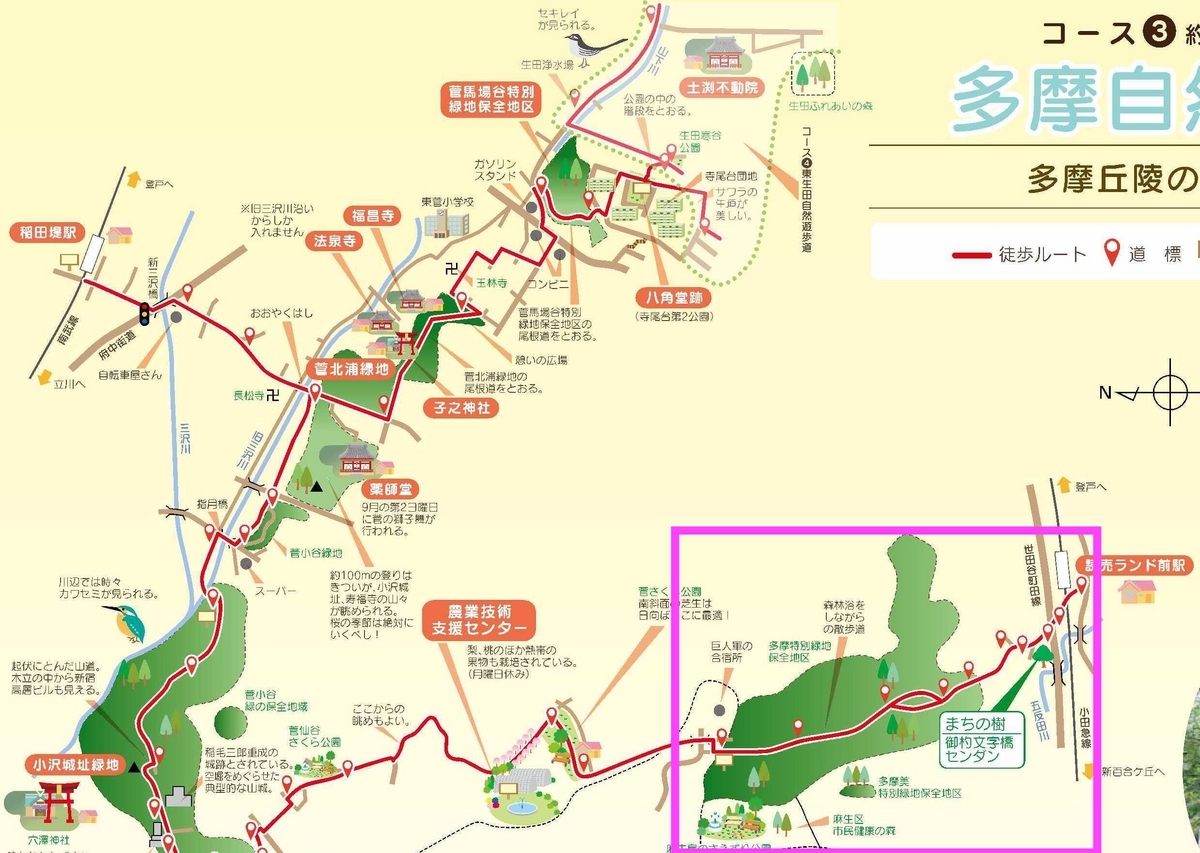 紹介するルート