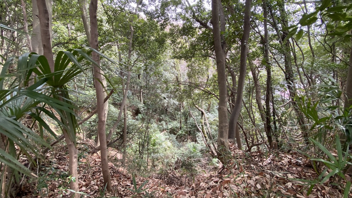 丘を上るコース