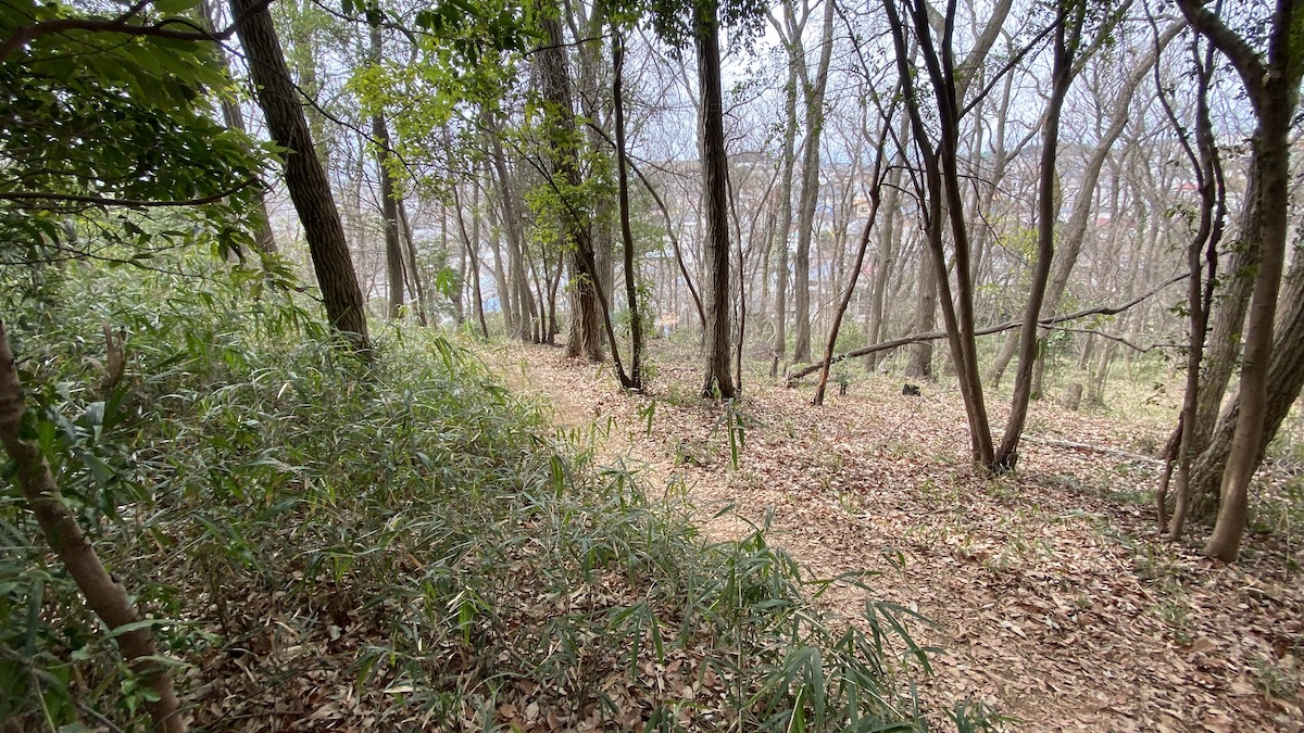 丘を上るコース