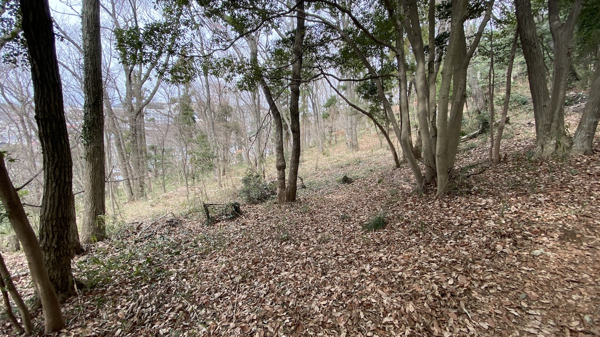 森を歩くコース