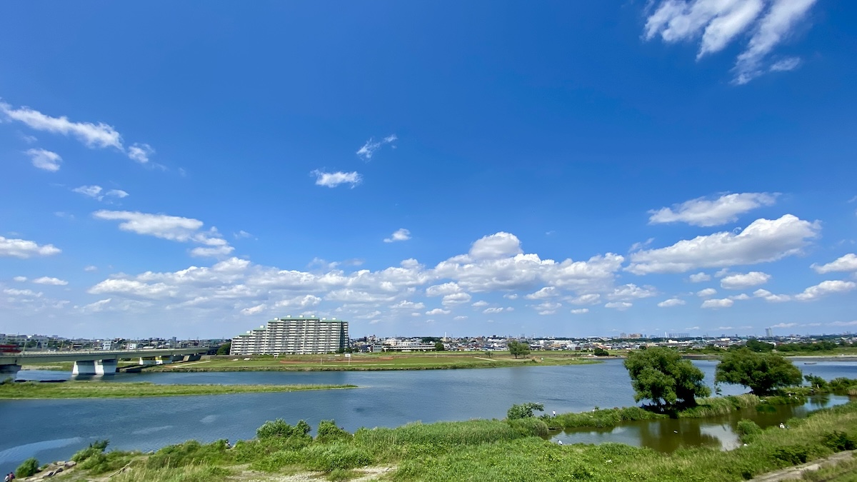 テラスからの景色