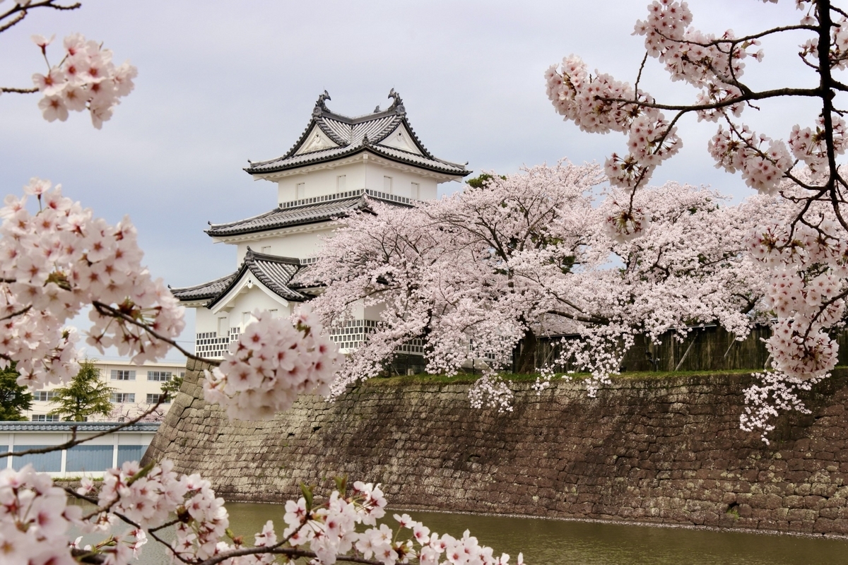 桜と新発田城