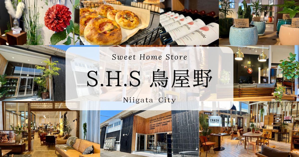 S.H.S 鳥屋野〜広大な敷地におしゃれな家具やインテリアが満載！数々の