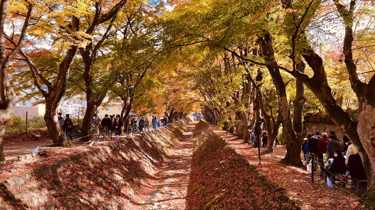 異世界級の紅葉トンネルが幻想的で美しい！河口湖もみじ回廊の