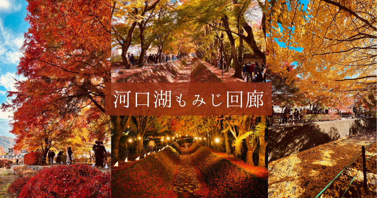 異世界級の紅葉トンネルが幻想的で美しい！河口湖もみじ回廊の