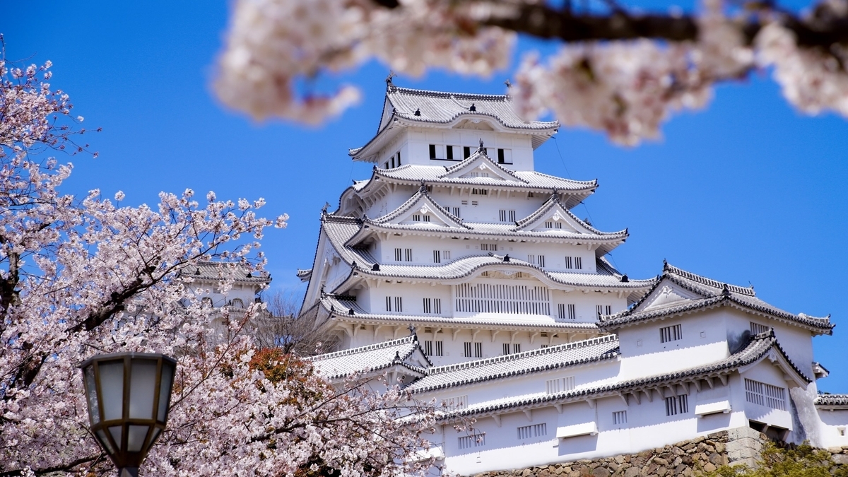 姫路城と桜