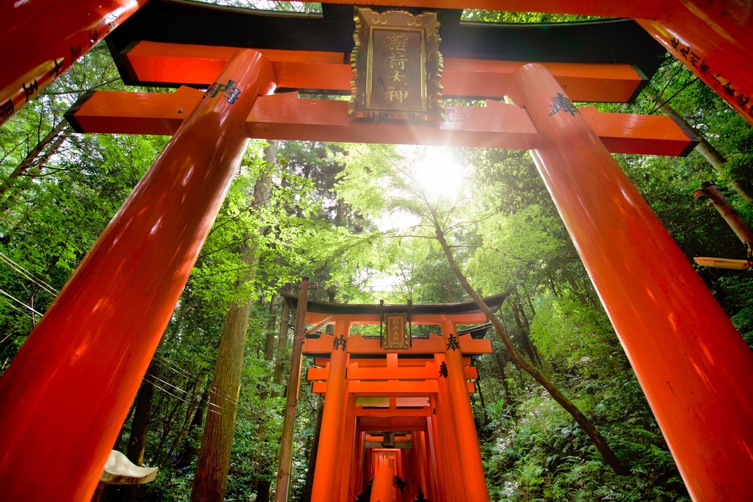 朝の千本鳥居
