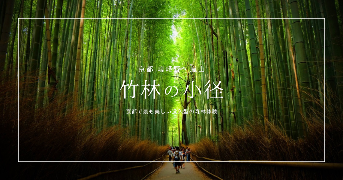 京都嵐山観光で最も美しい&quot;体感できる絶景&quot;『竹林の小径』