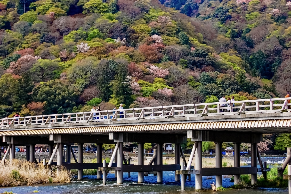 春の渡月橋