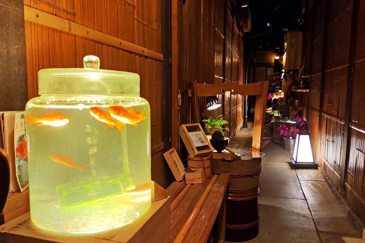 夜の先斗町