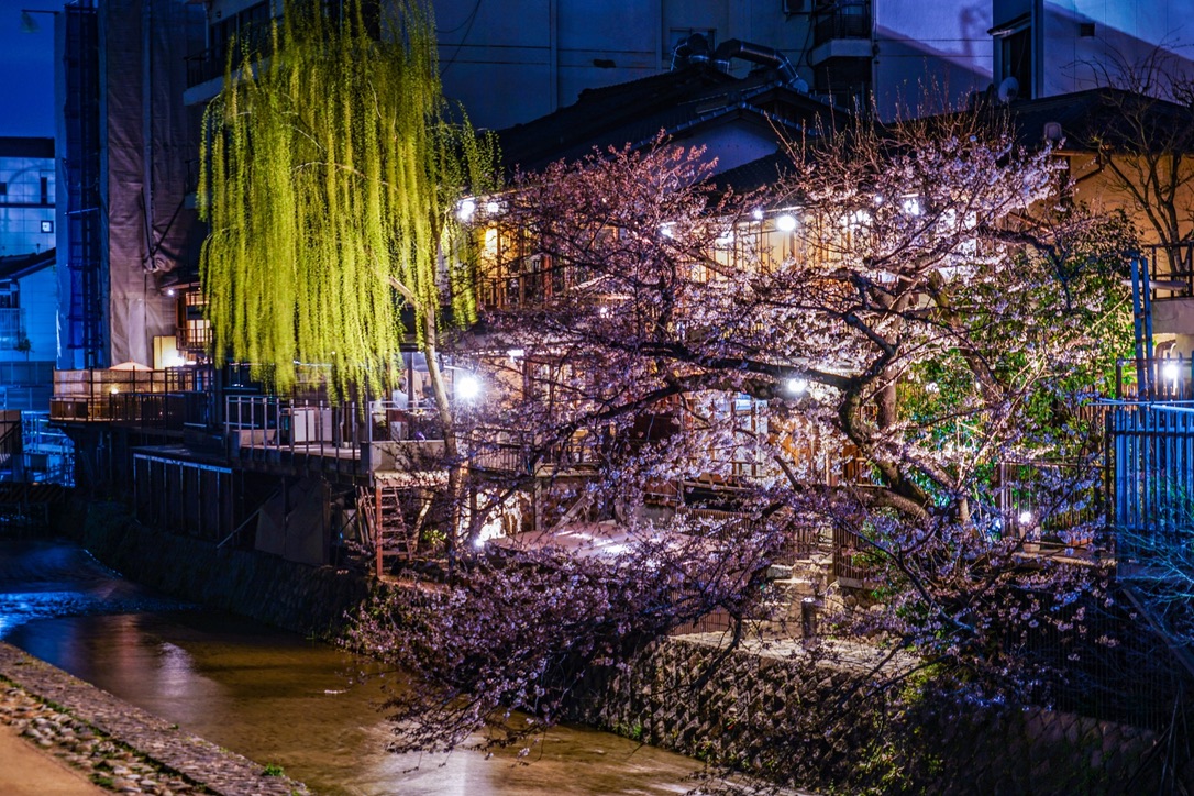 先斗町
