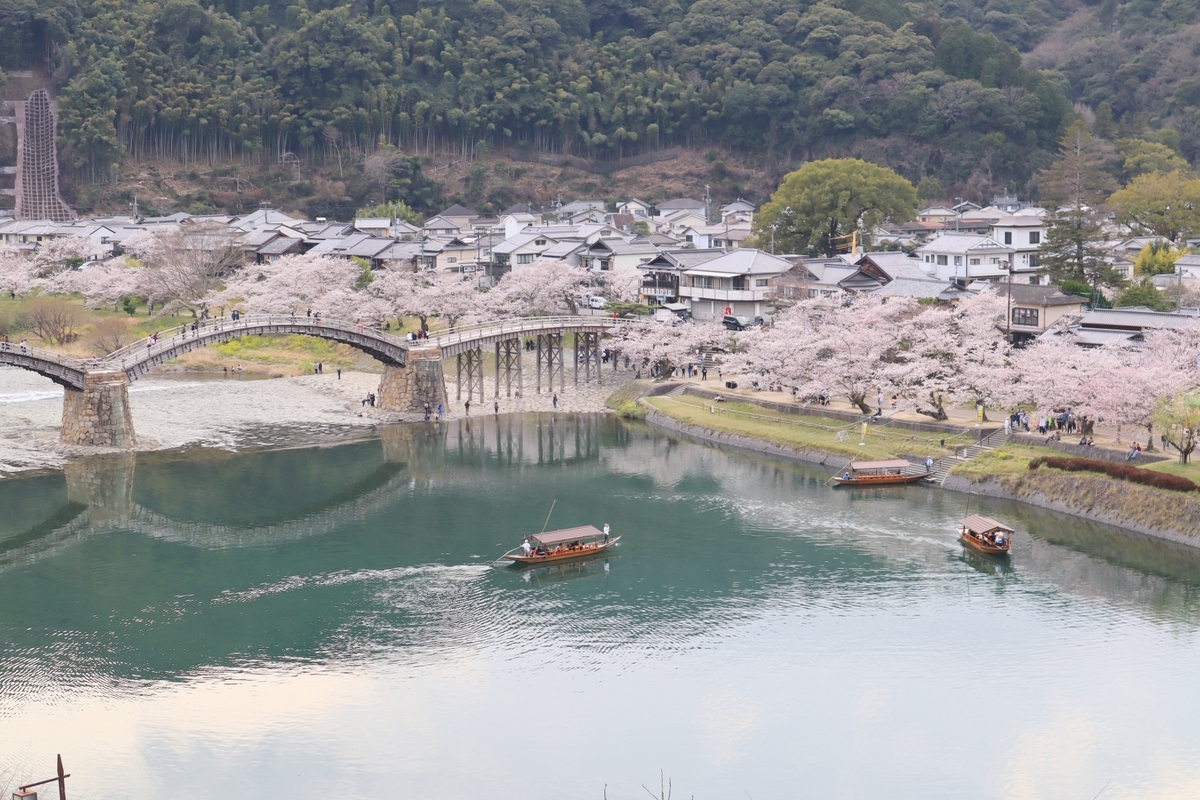 桜と錦帯橋と遊覧船