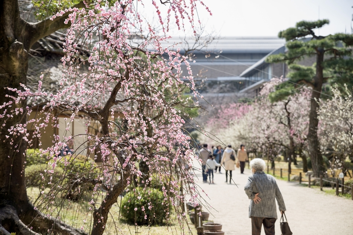 梅で華やぐ庭園
