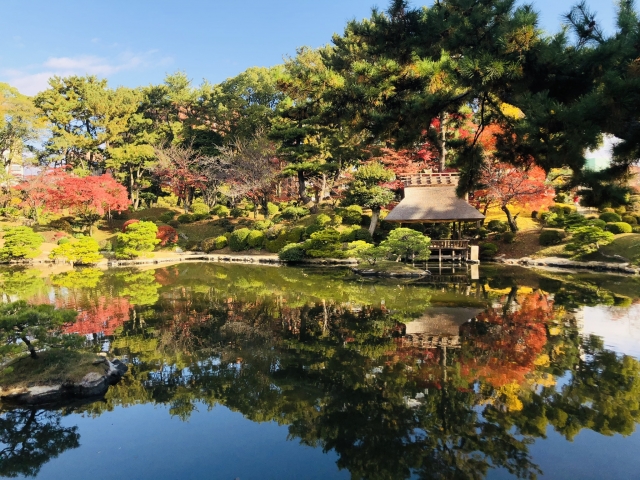 秋の日本庭園