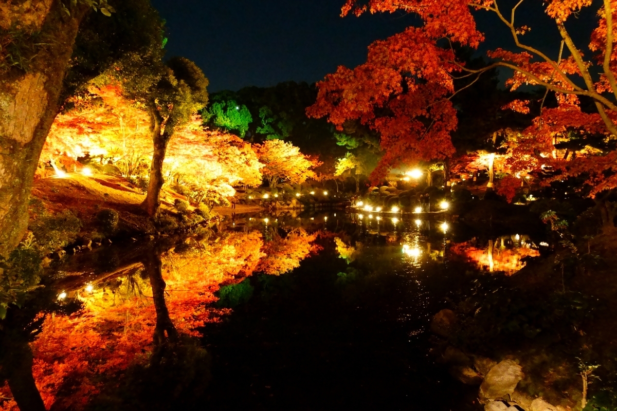 紅葉ライトアップ