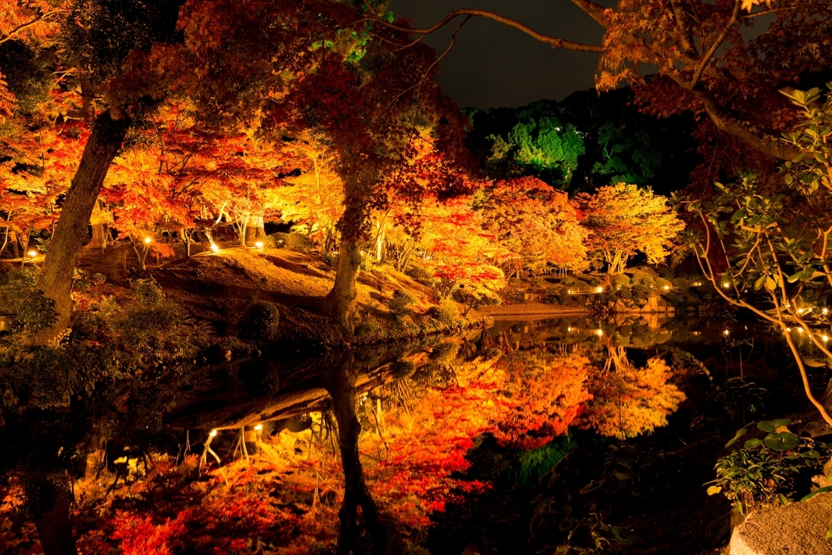 紅葉ライトアップ